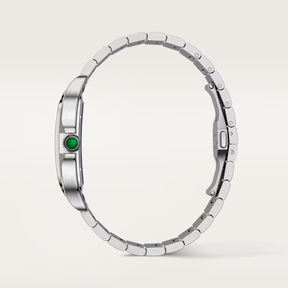 Cartier Santos skelett